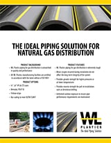 Natural Gas Distribution